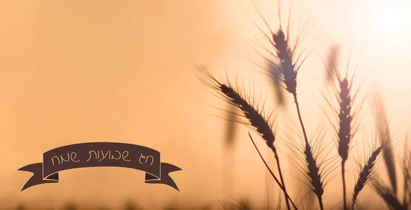 Feliz Cartão Saudação Shavuot Para Feriado Judaico Imagem Shavuot Ilustração — Fotografia de Stock