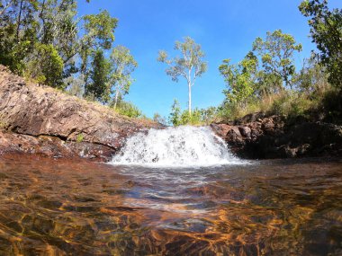 Şelale Avustralya 'nın kuzey bölgesindeki Litchfield Ulusal Parkı' ndaki Buley Rockhole 'a düştü..