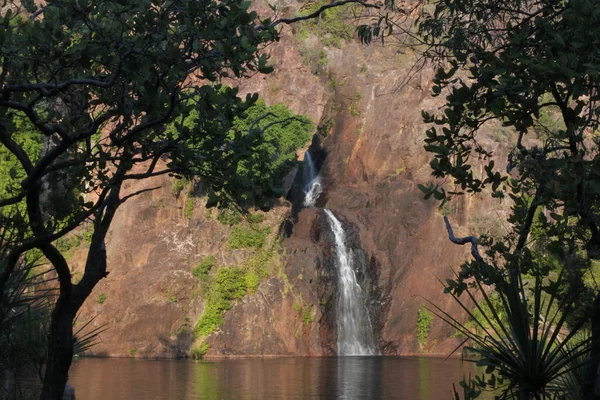 Vue Paysage Des Chutes Wangi Dans Parc National Litchfield Dans — Photo