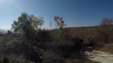 Yaprakları mavi gökyüzü arka planda 4 k ile düşüyor