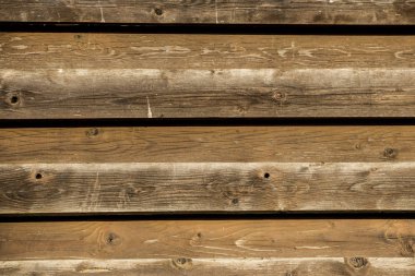 Bir ağaç çit yakın çekim 