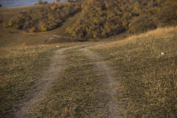 Yol geç yaz aylarında ormana