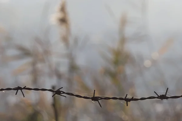 Bulutlu arka plan ile dikenli tel çit