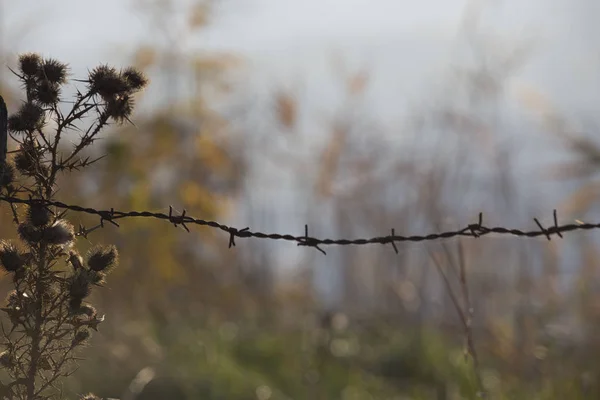 Bulutlu arka plan ile dikenli tel çit