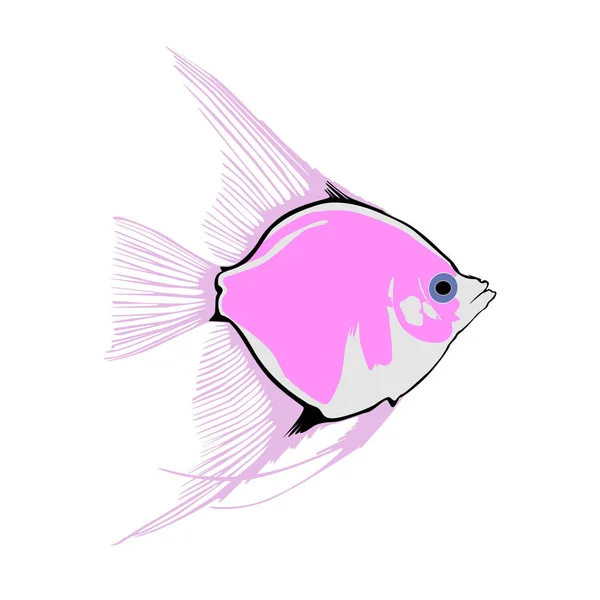 Kleine Mooie Vis Vis Van Roze Kleur Met Grote Flippers — Stockvector