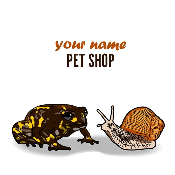 Logo Tablero Póster Para Una Tienda Mascotas Una Rana Caracol — Vector de stock