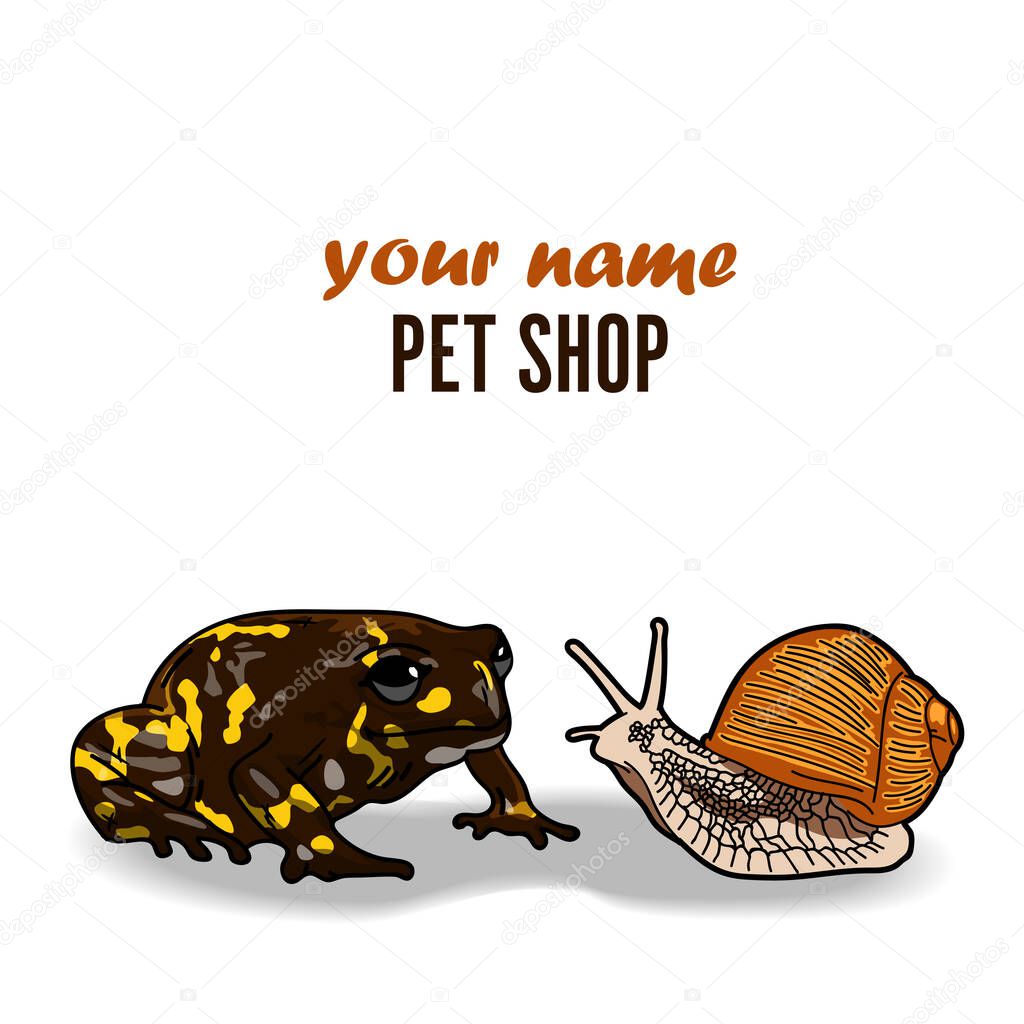 Logo, board or poster for a pet store. A frog and a snail are sitting against each other. Tropical pets. Not ordinary animals for children.Logo isolated on a white background