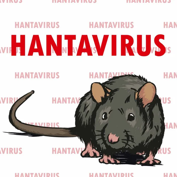 Rata Gris Con Inscripción Hantavirus Parte Superior Nuevo Virus Roedor — Archivo Imágenes Vectoriales