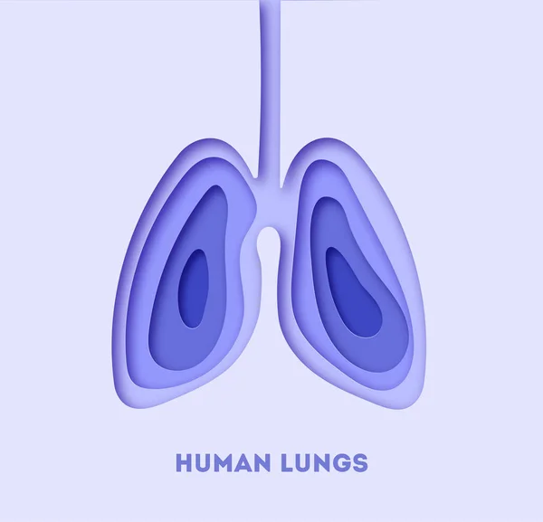 Kağıt Sanatında Akciğerlerin Vektör Çizimi Stok Illüstrasyon