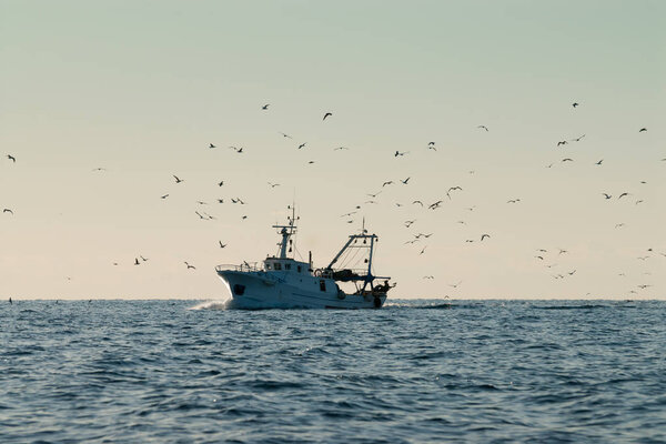 Fishing boat on the horizon with seagulls