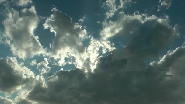 1920X1080 Fps Muito Agradável Cumulus Nuvens Céu Com Aves Marinhas — Vídeo de Stock