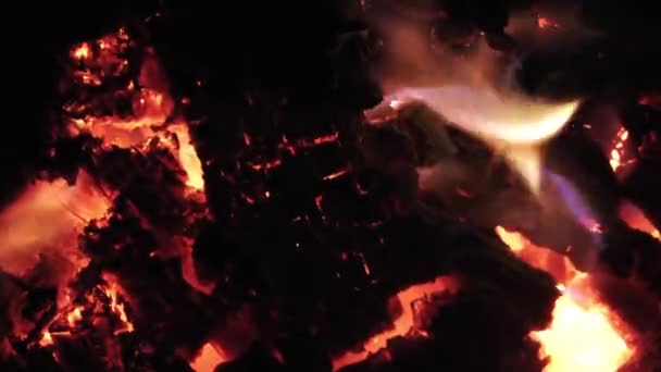 1920 1080 Fps 赤い火を暖炉のビデオで上の非常に素晴らしい熱い木 — ストック動画