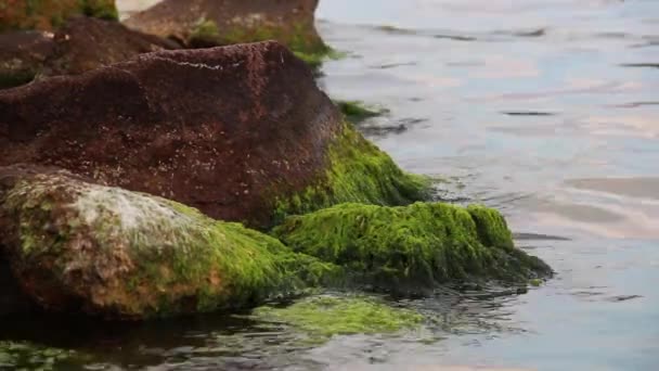 Sıçraması Dalgalar Sprey Rocky Cliff Ocean — Stok video