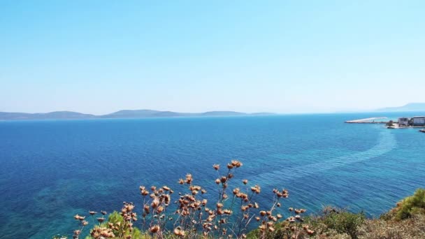 Havet Havet Solnedgång Soluppgång Solen Himmel Vatten Strand Landskap Moln — Stockvideo