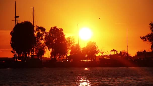 Marina Strand Boten Afgemeerd Een Baai — Stockvideo