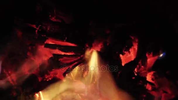 1920X1080 Fps Molto Bello Giallo Rosso Fiamme Bruciare Legno Video — Video Stock