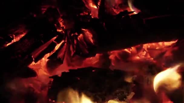 1920x1080 25 Fps. Très beau feu de bois chaud flamme brûlant bois chaud vidéo .