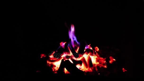 1920X1080 Fps Very Nice Blue Red Wood Burning Flame Video — Stock Video