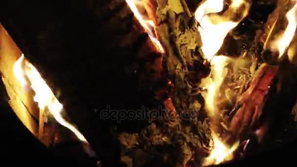 1920X1080 Fps Very Nice Texture Burning Wood Flames Video — Stock Video