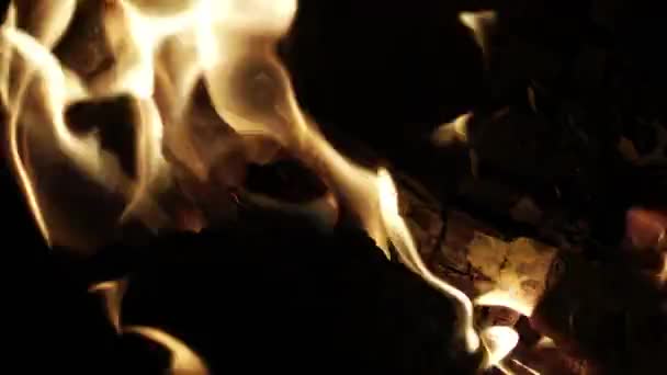 1920X1080 Fps Molto Bello Luminoso Giallo Fuoco Legna Campfire Macro — Video Stock