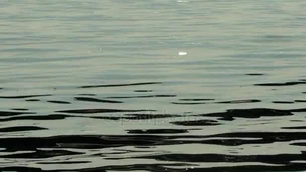 1920X1080 Fps Хороший Вид Shiny Sun Sea Water Видео — стоковое видео
