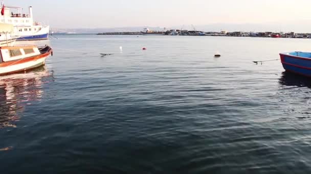 Marina Plaży Łodzie Zacumowane Zatoce — Wideo stockowe
