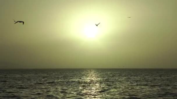 1920X1080 Fps Красивое Небо Природа Seascape Солнце Летающее Море Вид — стоковое видео