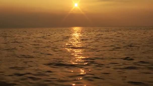 1920x1080 25 Fps. Très beau coucher de soleil jaune doré avec des mouches Oiseaux de mer Skyline Vidéo .
