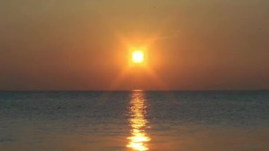 1920 x 1080 25 Fps çok güzel sarı kış gökyüzünde uçan ve günbatımı Seascap Video kuşlar..