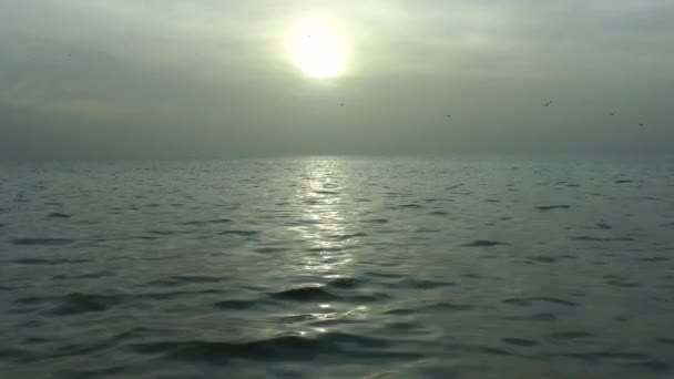 1920X1080 Fps Video Nice Gray Winter Seascape Dan Sun Rays — Stok Video