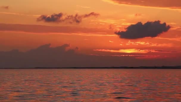1920 1080 Fps Çok Güzel Kış Günbatımı Deniz Dalga Günbatımı — Stok video