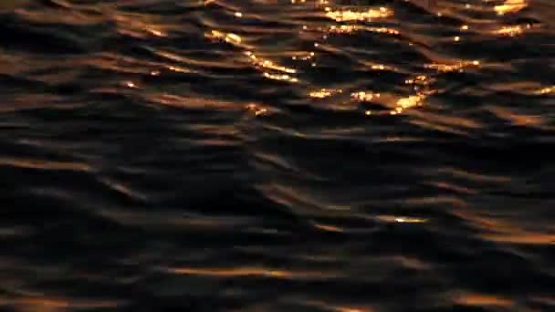 Calm Water Sunset Rays Ocean — Stock Video