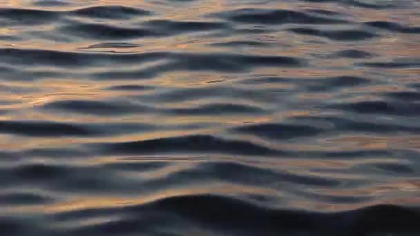 1920X108025 Fps Дуже Красива Абстрактна Морська Хвиля Сонячних Променях Відео — стокове відео