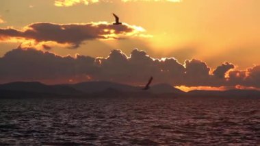 1920 x 1080 25 Fps. çok güzel kış günbatımı deniz dalga günbatımı ve güneş ışınları görüntüle Video.