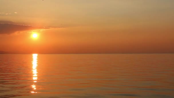 1920x1080 25 Fps. Très beau coucher de soleil d'hiver Mer Vague Coucher de soleil et rayons de soleil Voir la vidéo .