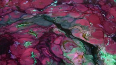 Soyut Renkli Boya Mürekkebi Patlaması Psikedelik Patlama Hareketi.