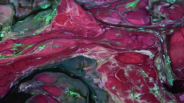 Soyut Renkli Boya Mürekkebi Patlaması Psikedelik Patlama Hareketi.