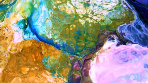 Tinta Pintura Colorida Abstrata Explode Difusão Psychedelic Explosão Movimento — Vídeo de Stock