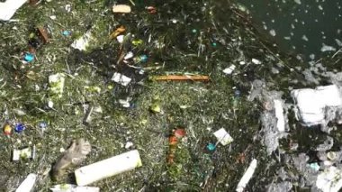 Çöp ve çöp su yüzeyinde yüzen. Deniz yüzeyinde yüzen kir ve plastik çöp ile su kirliliği 