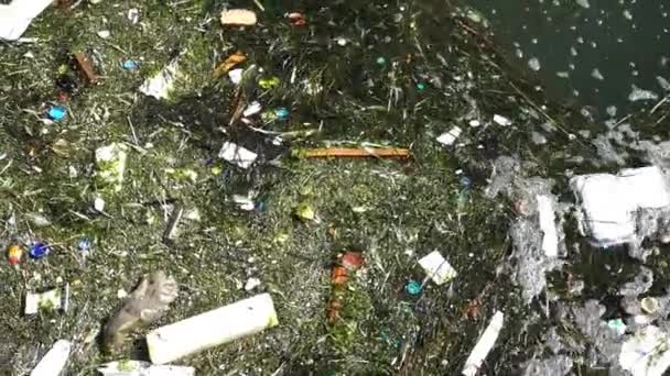 Çöp Çöp Yüzeyinde Yüzen Deniz Yüzeyinde Yüzen Kir Plastik Çöp — Stok video