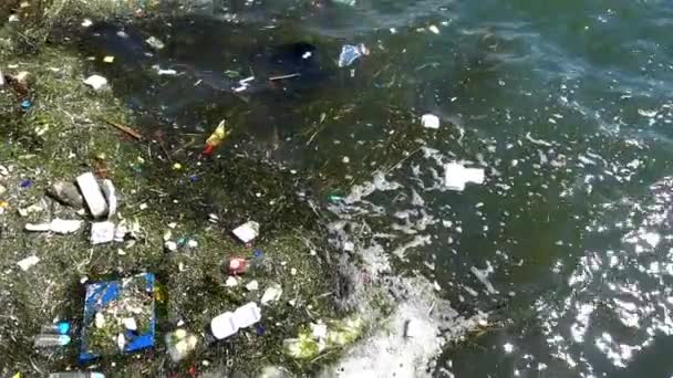 Мусор Мусор Плавающие Поверхности Воды Загрязнение Воды Грязью Пластиковым Мусором — стоковое видео