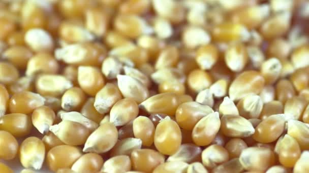非常好的特写玉米燕麦豆的影像 — 图库视频影像