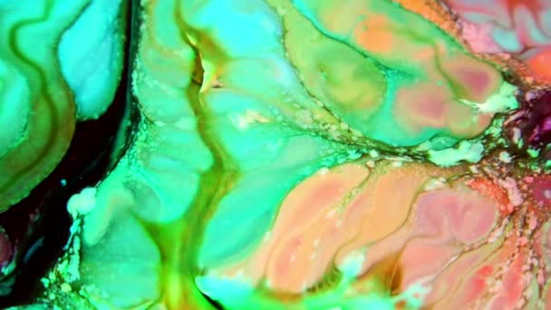 1920 1080 Fps Zeer Mooie Inkt Abstracte Psychedelische Verf Vloeibare — Stockvideo