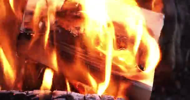 Très Beau Livre Burning Footage — Video