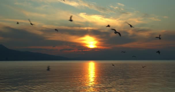 日没の静かな島 薄日に向かってゆっくりと動くふわふわの雲を見せてくれます 太陽の黄金のオレンジ色の光線は 完全に穏やかな海に反射されます — ストック動画