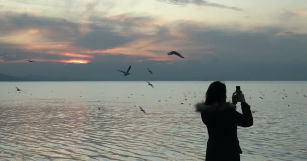 Muy Agradable Fotógrafa Mujer Tomando Imágenes — Vídeos de Stock