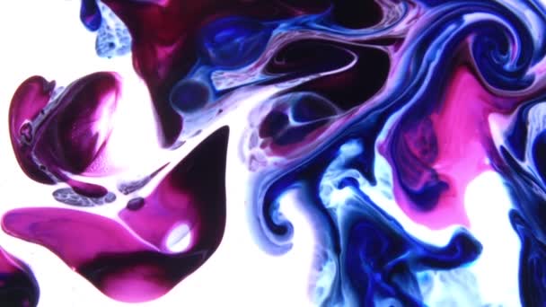 Liquid Colorful Paint Klappar Blanda Slow Motion Flytande Färg Mönster — Stockvideo