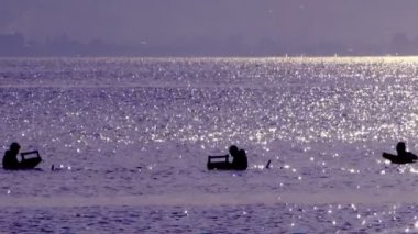 Yasak bölgede çok hoş yasa dışı kum midyesi avcıları su canlılarını avlıyor..