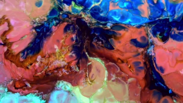 Liquid Colorful Paint Pattens Mix Câmera Lenta Padrões Tinta Cor — Vídeo de Stock