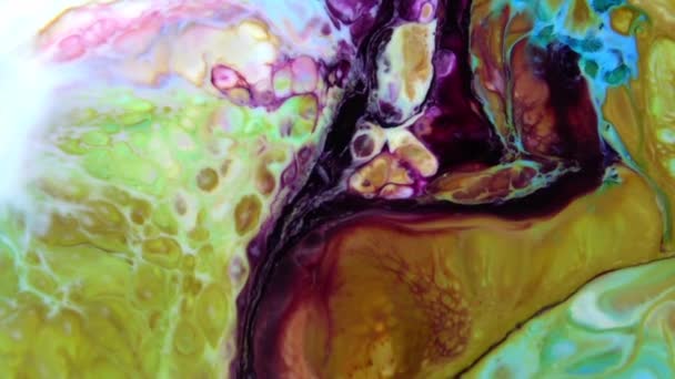 Liquid Colorful Paint Klappar Blanda Slow Motion Flytande Färg Mönster — Stockvideo